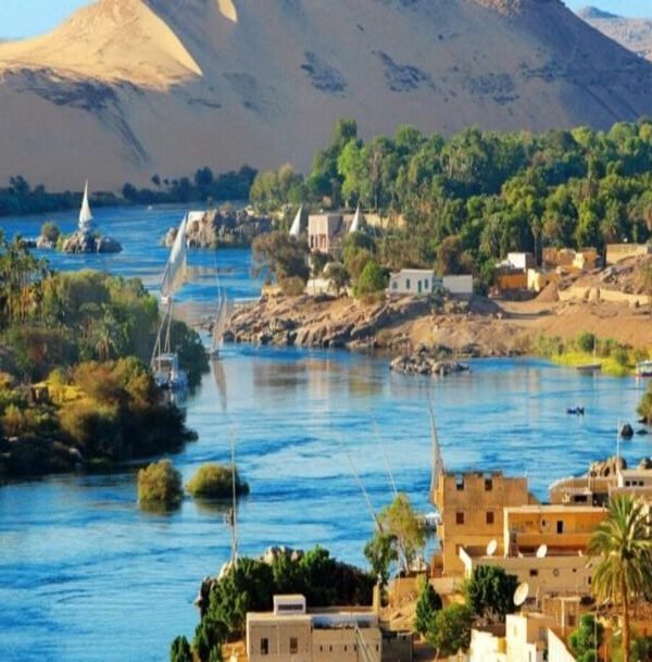 aswan-1-1-600×609